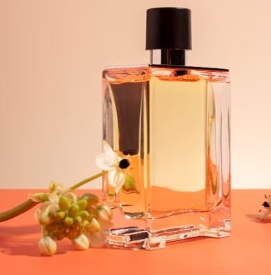 7822c17b e837 4006 a487 38e0b56e4157